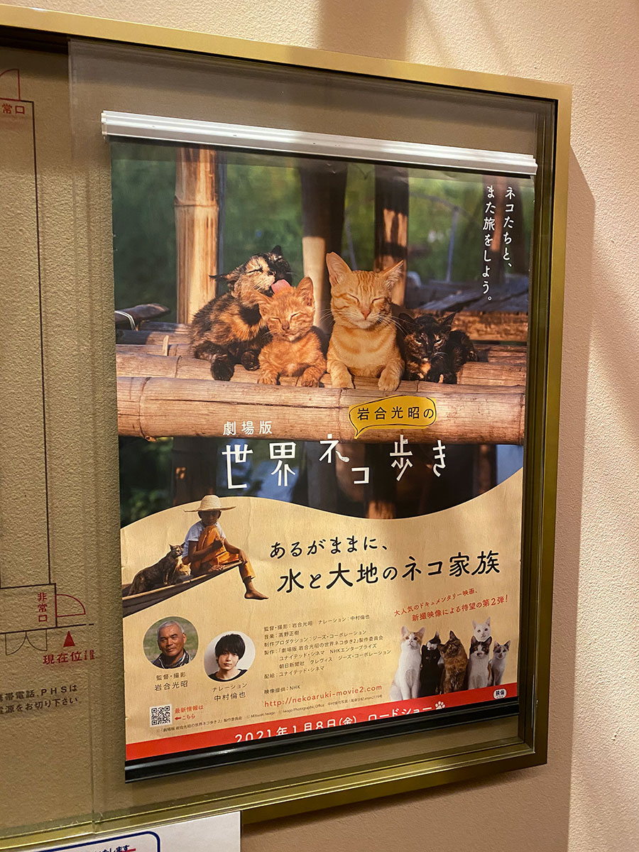 ユナイテッド・シネマ豊洲、スクリーン12入口脇に掲示された『劇場版 岩合光昭の世界ネコ歩き あるがままに、水と大地のネコ家族』ポスター。