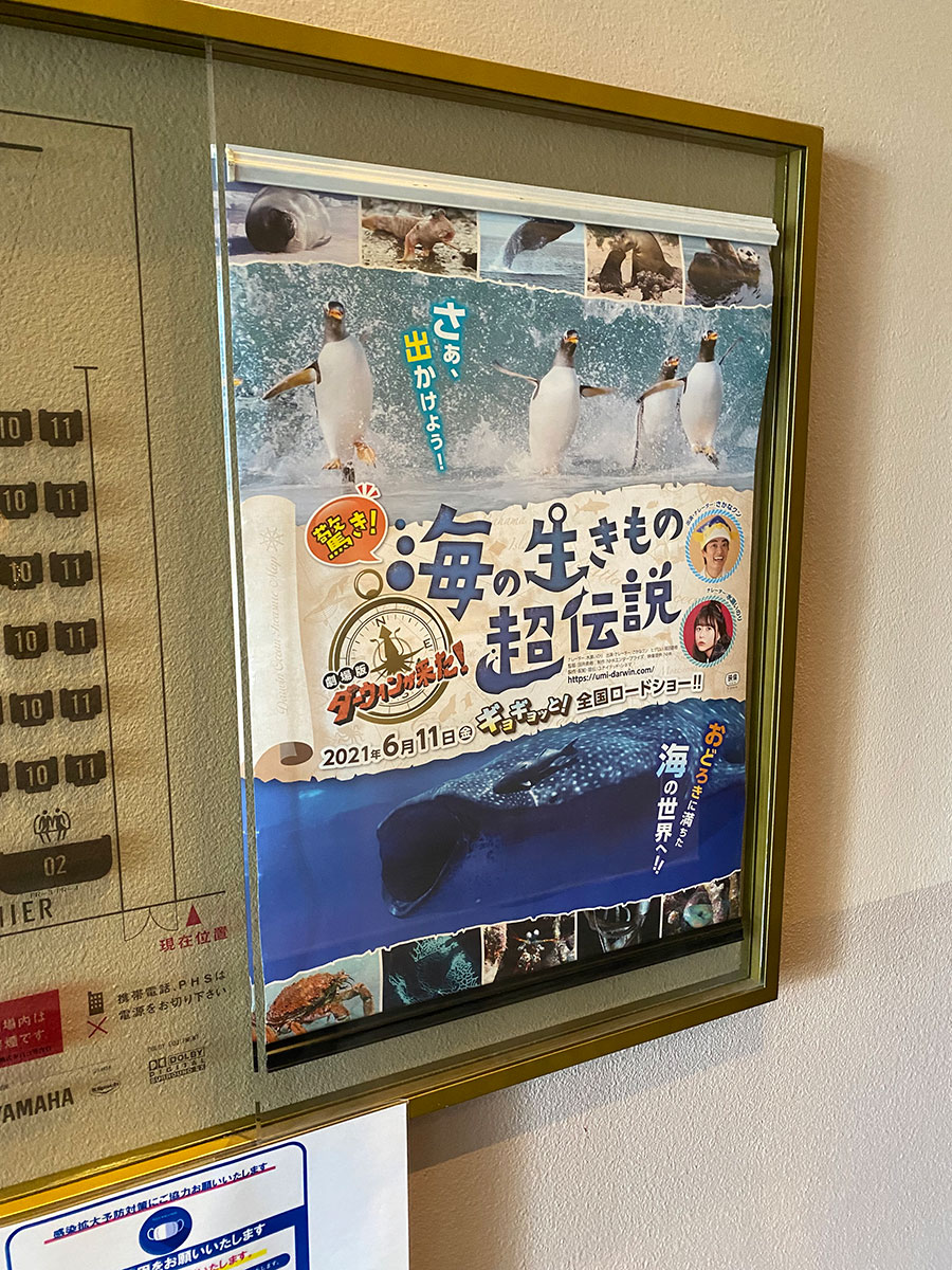 ユナイテッド・シネマ豊洲、スクリーン５入口脇に掲示された『驚き！ 海の生きもの超伝説 劇場版ダーウィンが来た！』ポスター。